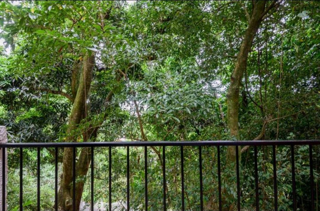 Santa Teresa junto a natureza Río de Janeiro Exterior foto